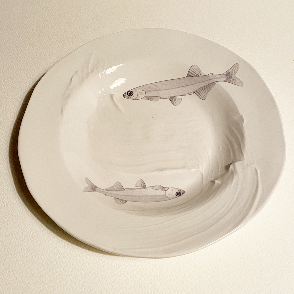 Fish Plate